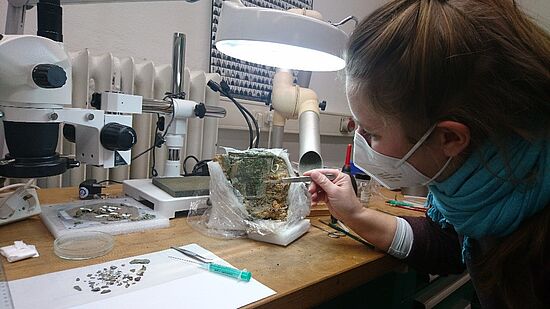 ausgebucht!  
Neuer Termin in Planung 

Faszination Archäologie - 
Die Restaurierungswerkstatt Archäologie im neuen Zentraldepot des Historischen Museums