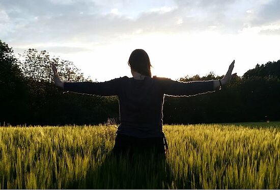 Qi Gong für Fortgeschrittene