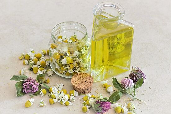Kräuterworkshop für Erziehende