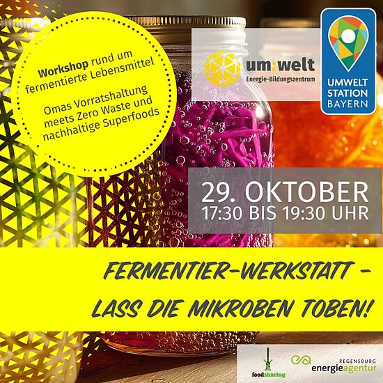 Fermentieren - Lass die Mikroben toben!