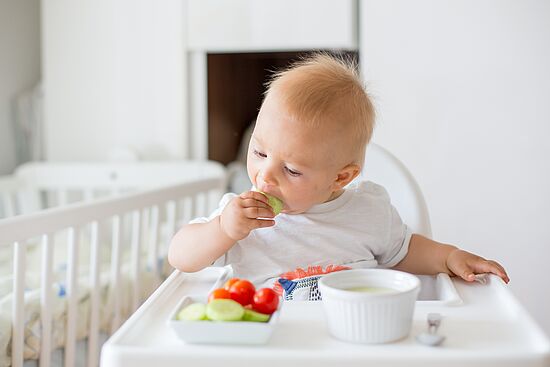 Online-Seminar: Vom Brei zum Familientisch