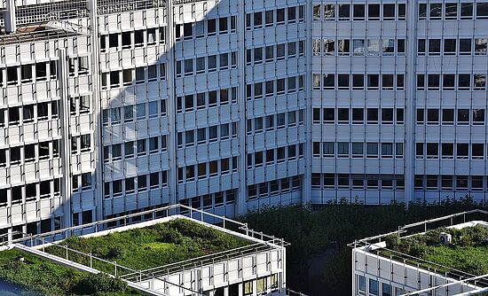 info-TECH: Von versiegelt zu belebt - Nachhaltige Gebäudebegrünung und Entsiegelung für Ihr Zuhause