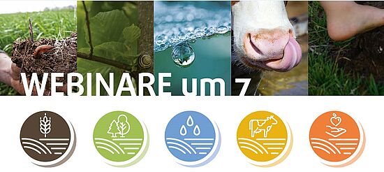 Boden um 7 -