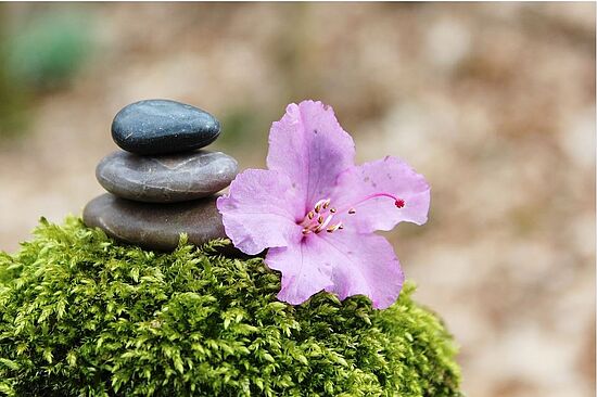 Entlastung für Pflegekräfte - bewusst auftanken