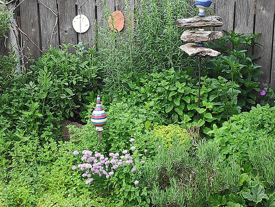 Geführte Kräuterwanderung