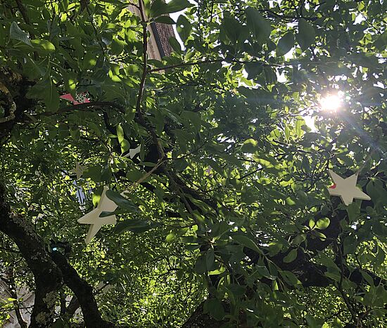 Wenn die gute Hoffnung stirbt - 
Trauer um ein Sternenkind