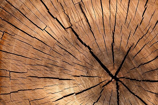 Holzschnitzen für Fortgeschrittene