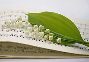 Frauke Riether auf Pixabay