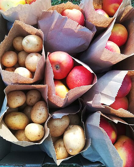Die Kartoffel und der Apfel - rund und gesund